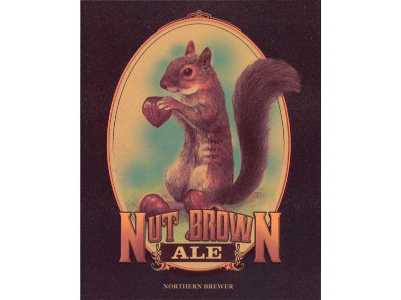 Nut Brown Ale - Beer Recipe Kit