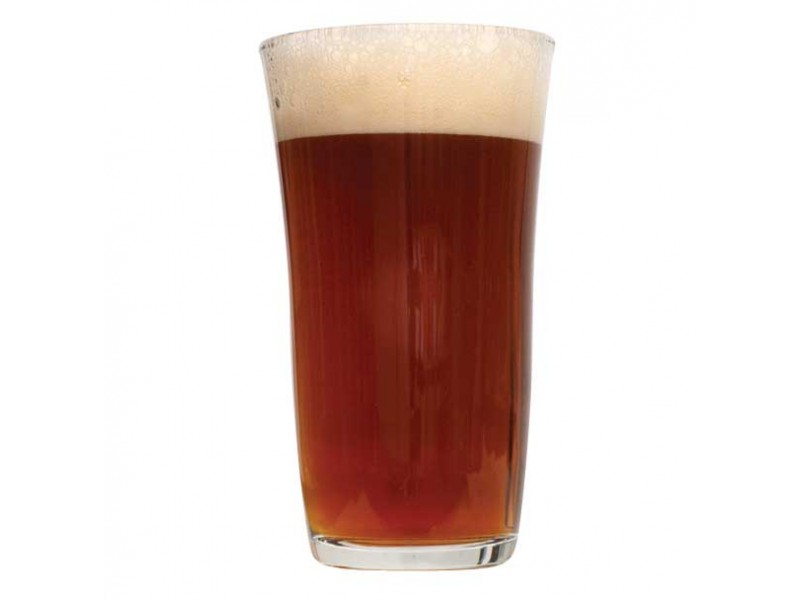 Megalodon Imperial Red Ale - Beer Recipe Kit